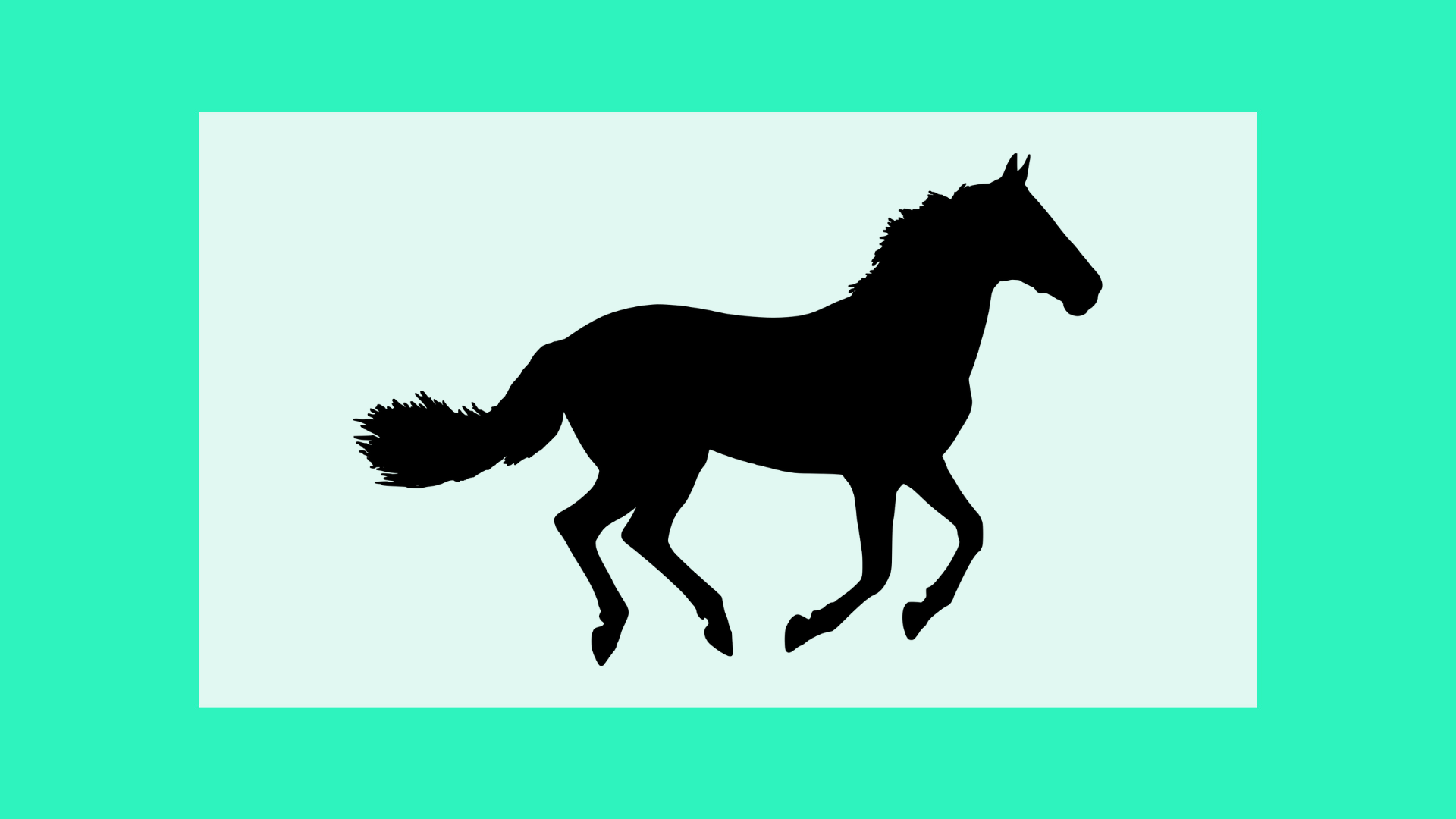 Silhouette of racehorse